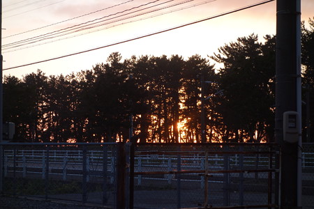 DSC03976