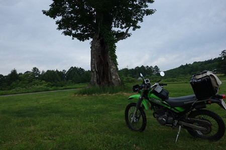 DSC04190