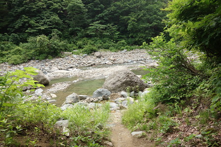 DSC04231
