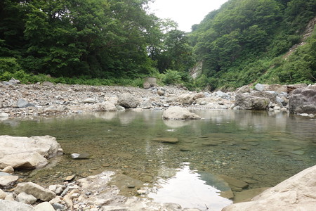 DSC04239