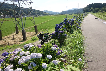 DSC04300