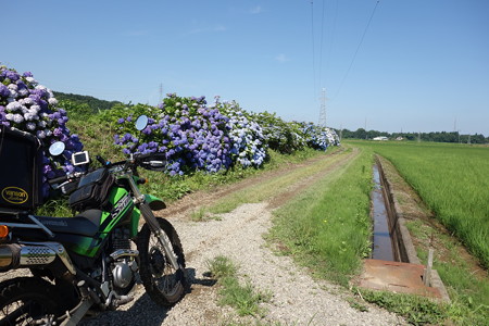 DSC04303