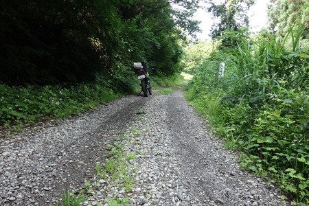 DSC04350
