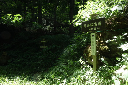 DSC04537