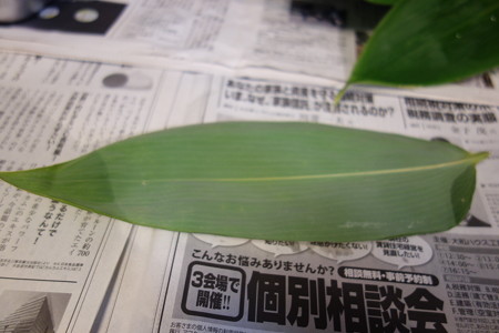 DSC04659