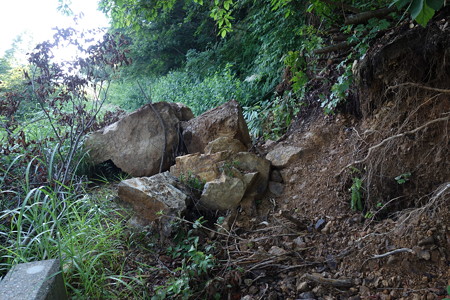 DSC04744
