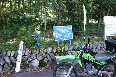 DSC04772