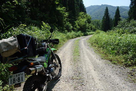 DSC04781