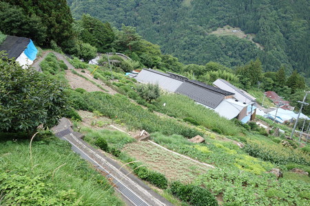 DSC05217