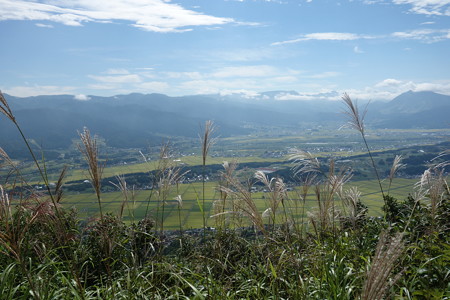 DSC05468