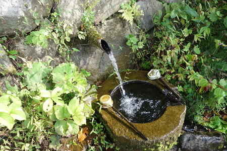 DSC06229
