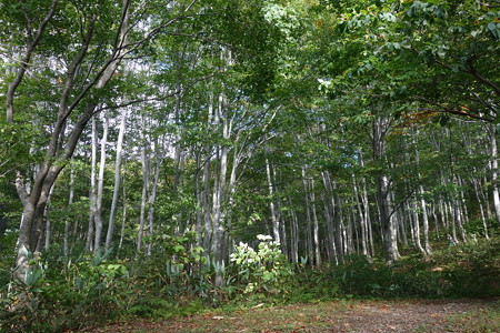 DSC06234