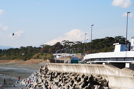 terugasaki02