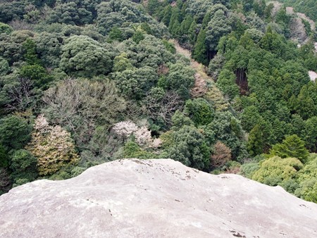 iseyamakami_ibutadera57