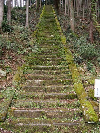 iseyamakami_ibutadera74