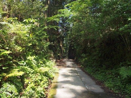 mezurasitouge08
