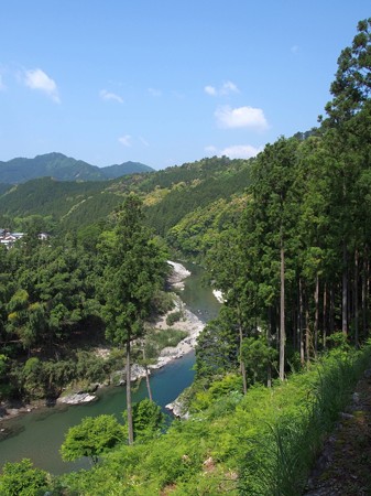 mezurasitouge20