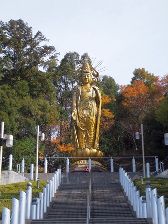 hikosakasinseiji12