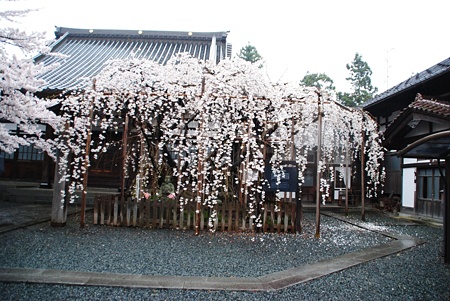 ryuuganji11