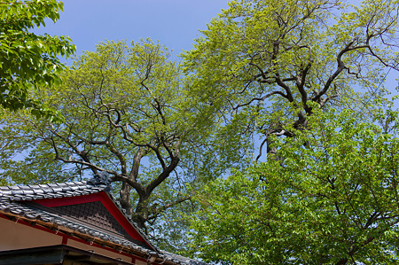 20120429-L1000031