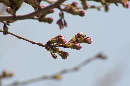 高橋屋2