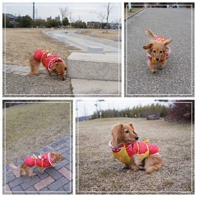 20120205 お散歩