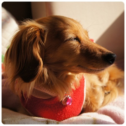 20120405 JURI