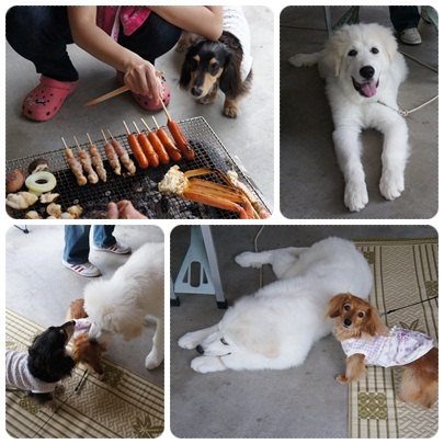20120429 BBQ