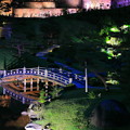 Photos: 玉泉院丸庭園　秋のライトアップ(5)