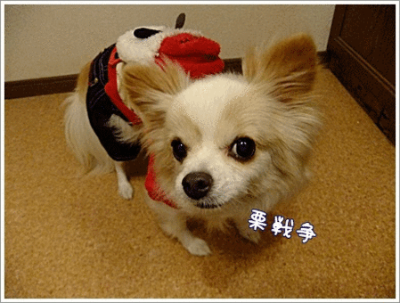 無理かもね