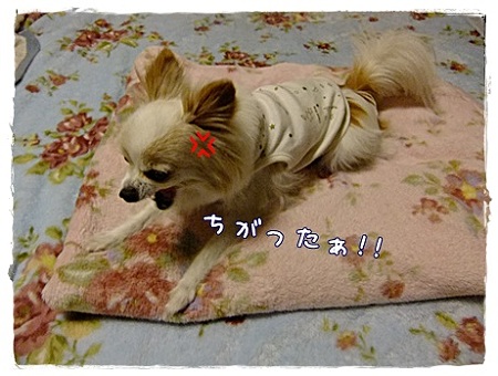 間違い