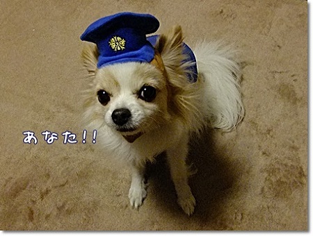 あなた!!