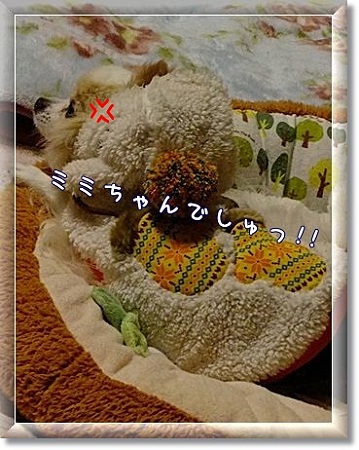 怒る