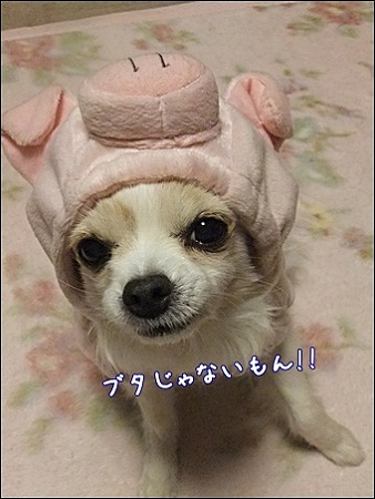 ないもん