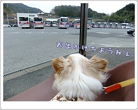 お出かけ