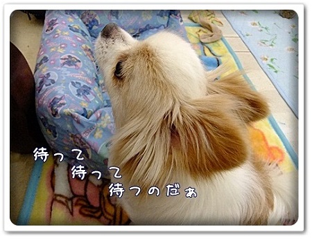待つ