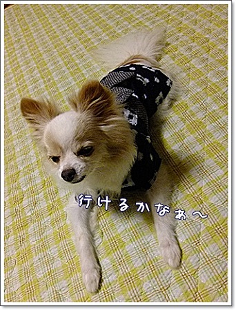 行けるかな?