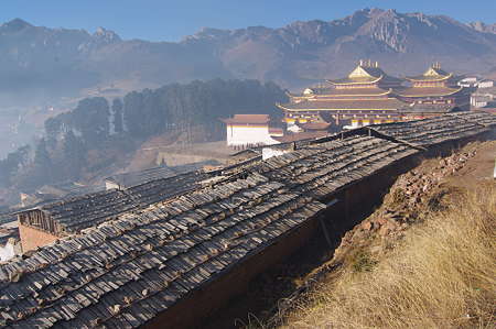 IMGP8492