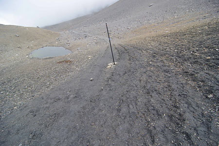IMGP9774