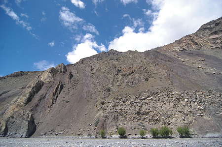 IMGP2586