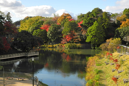 亀山公園の紅葉・5