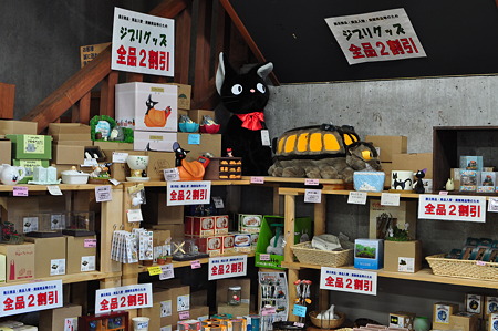 長野32・木曽ならかわ-5