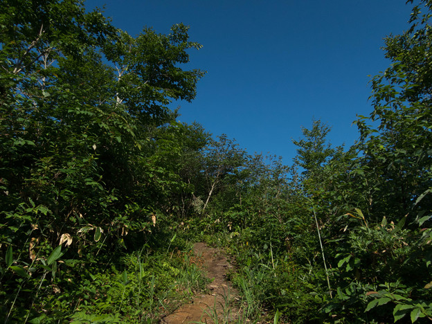 20150711_063614_Canon S120