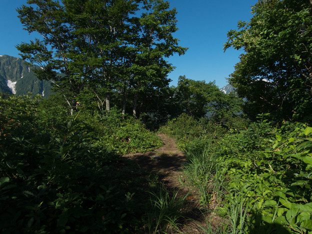 20150711_070139_Canon S120