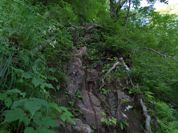 20150711_081252_Canon S120