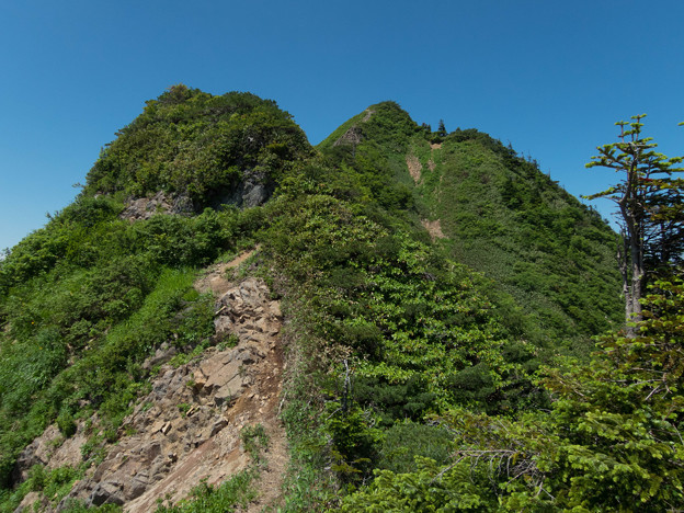 20150711_103438_Canon S120