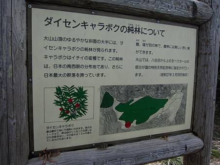 c-110506-102523