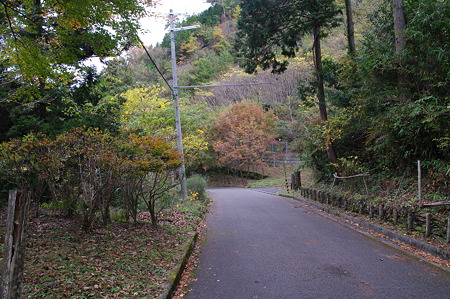 岩湧山 (6)