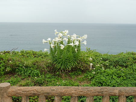 20120426 (6)