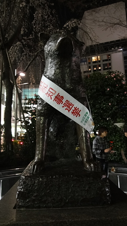都知事選挙にハチ公も参戦。当選確実か。